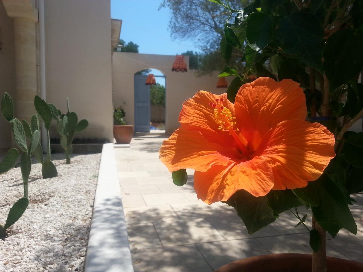 مبيت وإفطار كاروفينيو The Proud Garden المظهر الخارجي الصورة