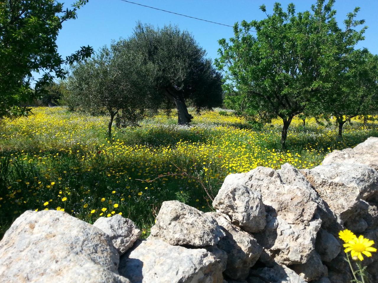 مبيت وإفطار كاروفينيو The Proud Garden المظهر الخارجي الصورة