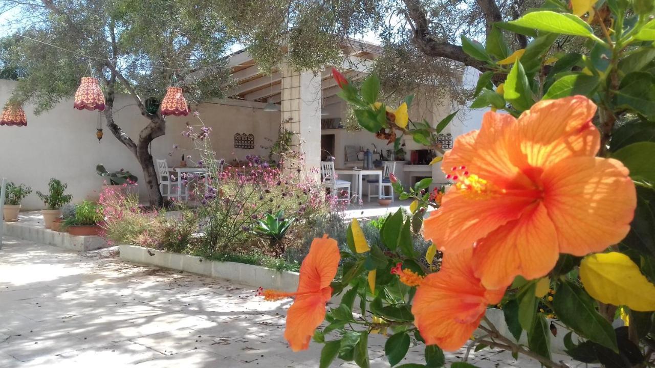 مبيت وإفطار كاروفينيو The Proud Garden المظهر الخارجي الصورة