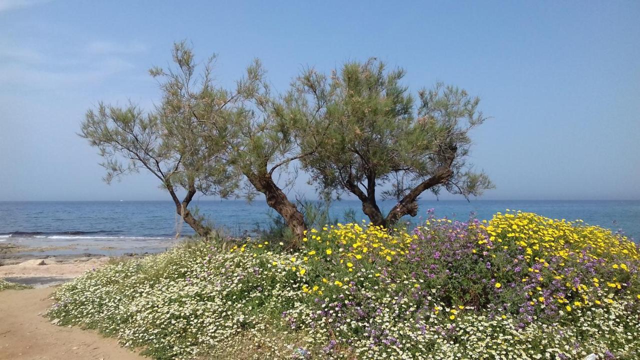 مبيت وإفطار كاروفينيو The Proud Garden المظهر الخارجي الصورة